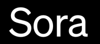 Sora